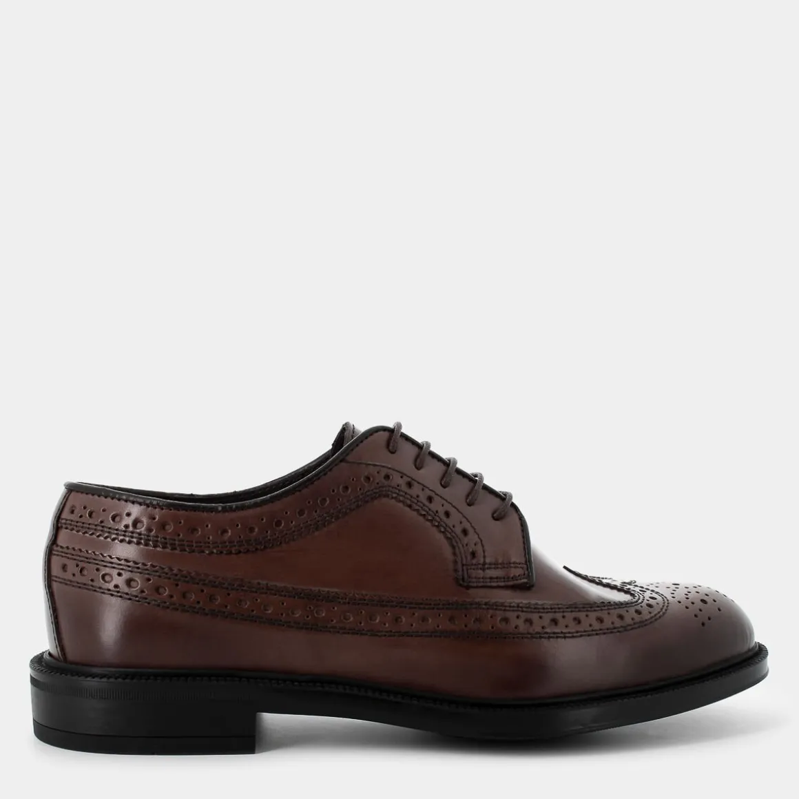 OSCAR&THAIS MN-I24U-02-TESTA DI MORO- STRINGATE MARRONE Shop