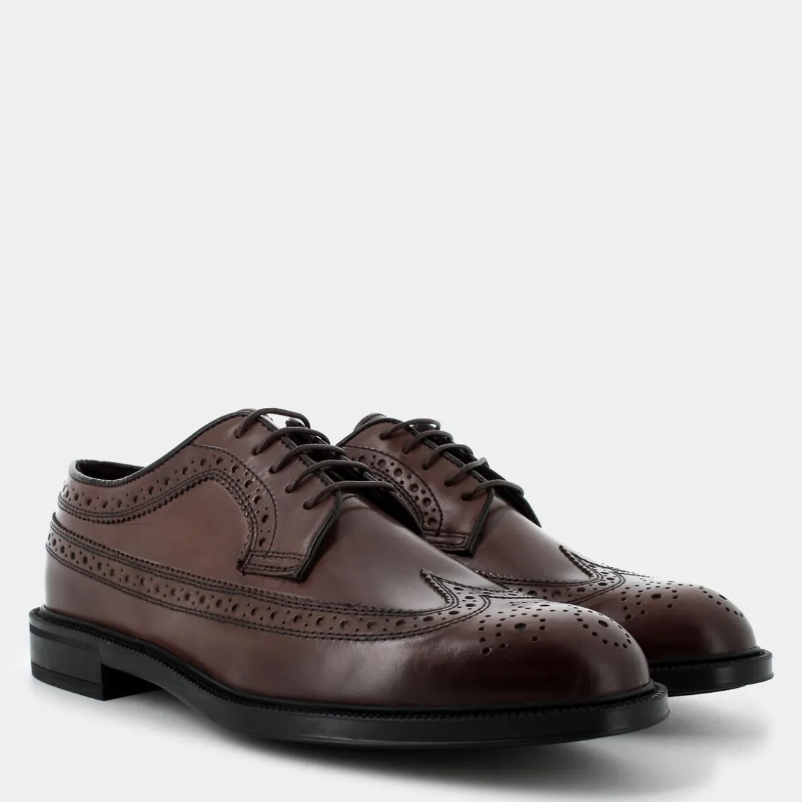 OSCAR&THAIS MN-I24U-02-TESTA DI MORO- STRINGATE MARRONE Shop