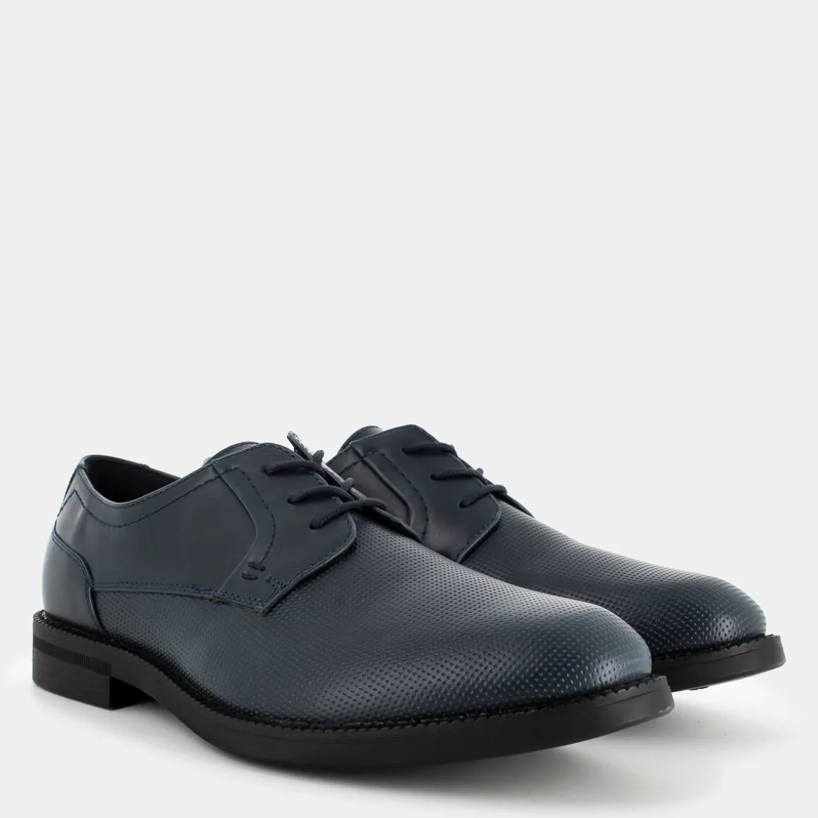 SHACKLETON PE-I24U-01-- STRINGATE BLU New