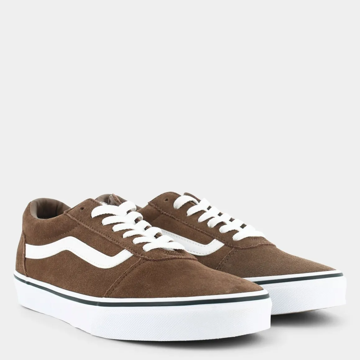 VANS VN0A38DMMN WardDACHSHUND- SPORTIVE MARRONE Best Sale